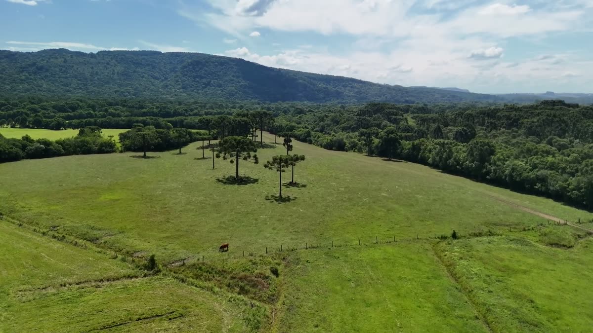 Campos e relevo vistos de cima